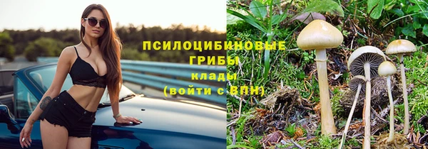 СК Магадан