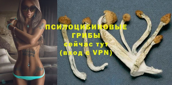 мескалин Медвежьегорск