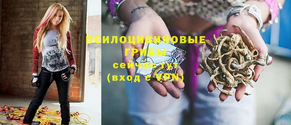 ECSTASY Мегион