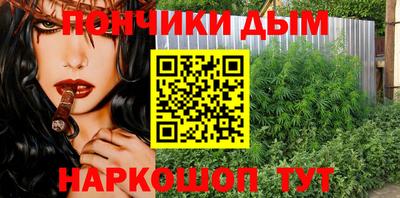 прущие грибы Канаш