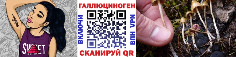 Галлюциногенные грибы прущие грибы  kraken зеркало  Санкт-Петербург 